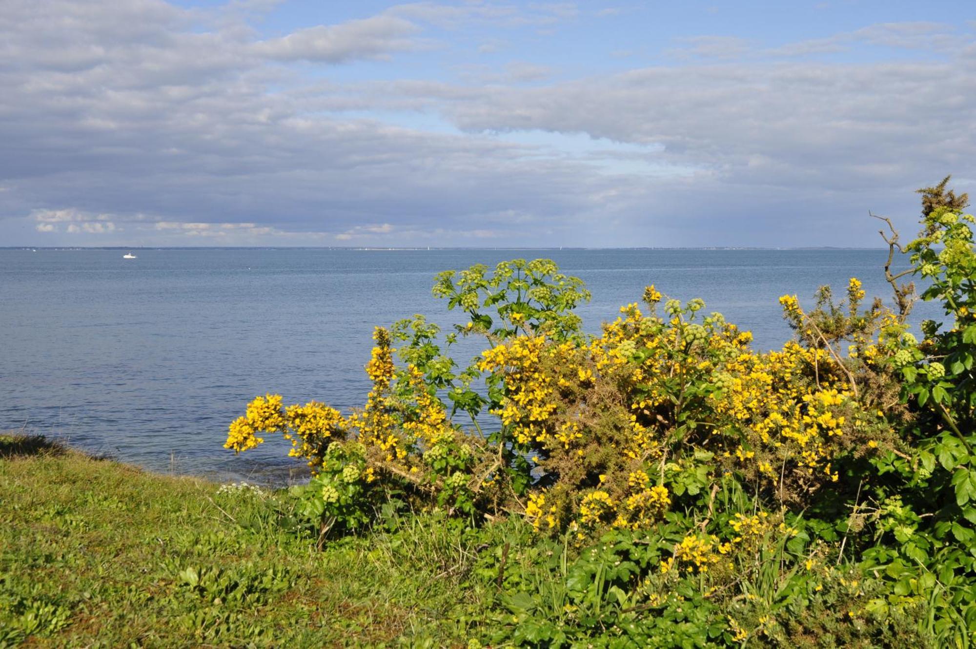 Panorama Vue Mer キブロン 部屋 写真