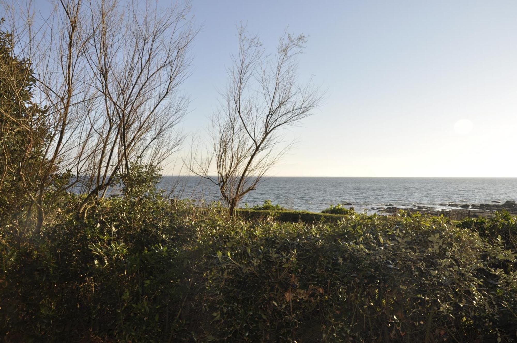 Panorama Vue Mer キブロン エクステリア 写真