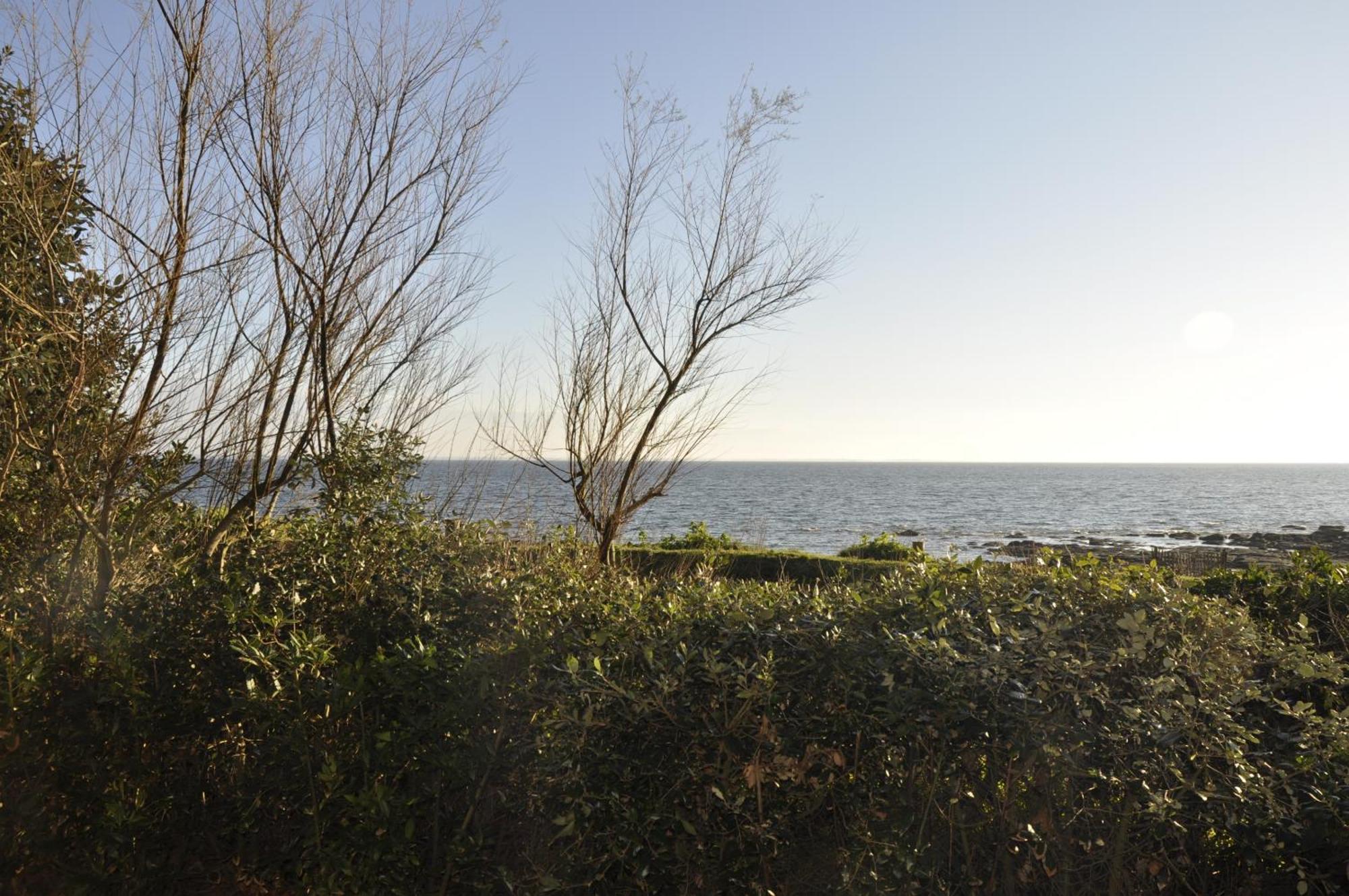 Panorama Vue Mer キブロン エクステリア 写真